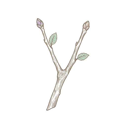 w02-16b-twigs.png
