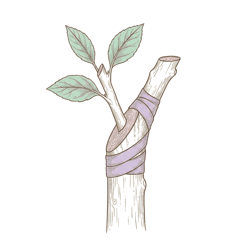 w02-36-graft.png
